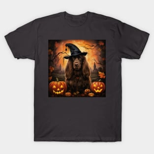 Sussex Spaniel Halloween T-Shirt